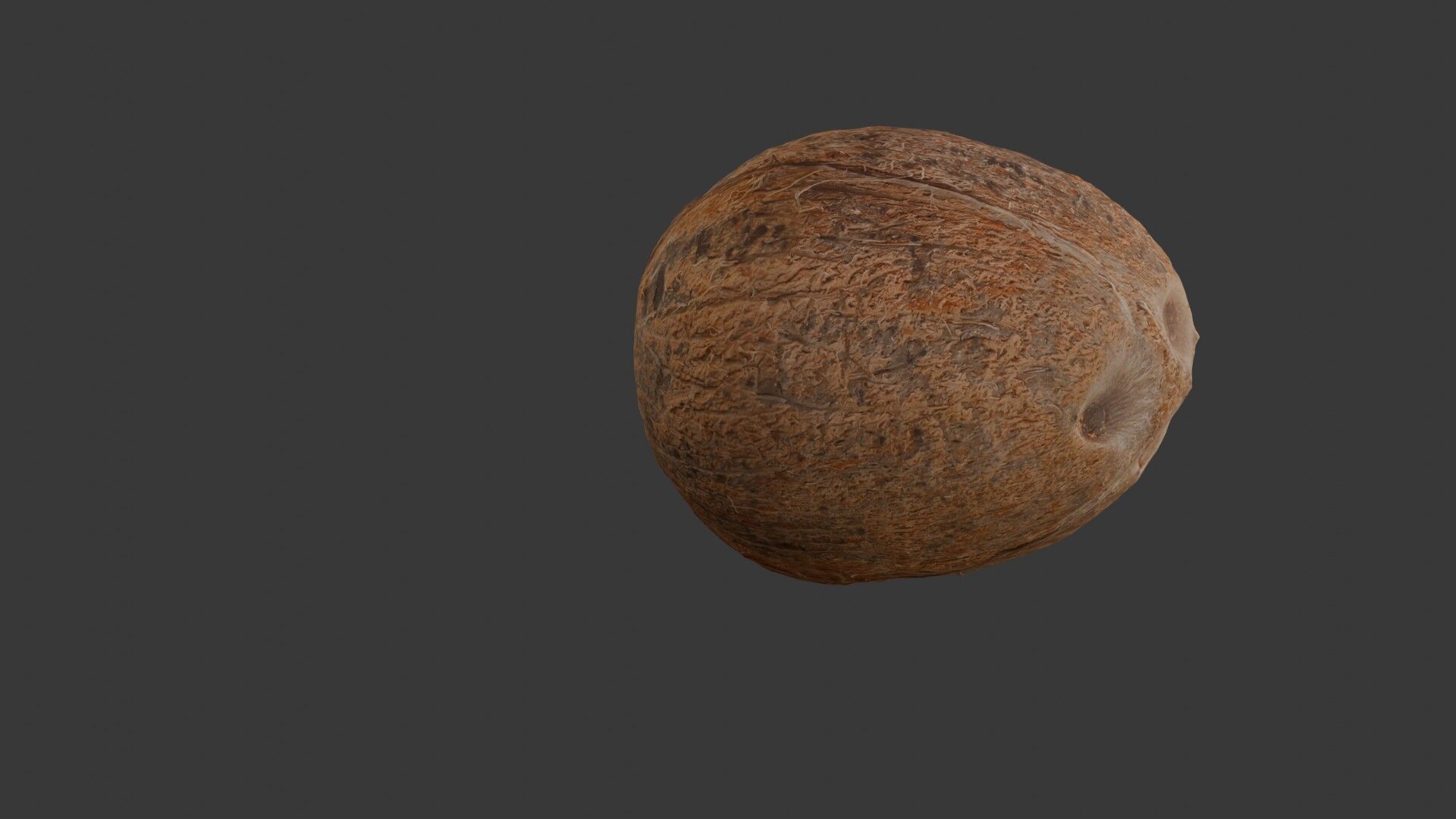 Realistic Coconut 3D Model 3D model_4