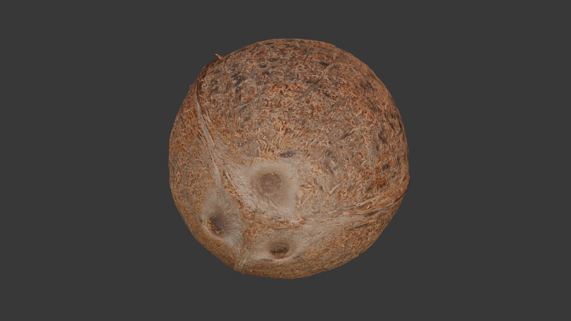 Realistic Coconut 3D Model 3D model_1
