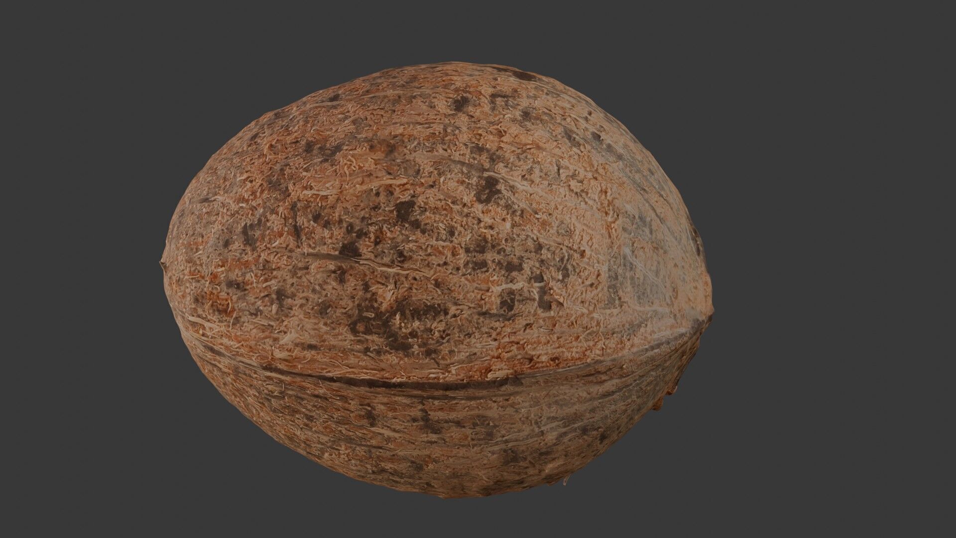 Realistic Coconut 3D Model 3D model_7