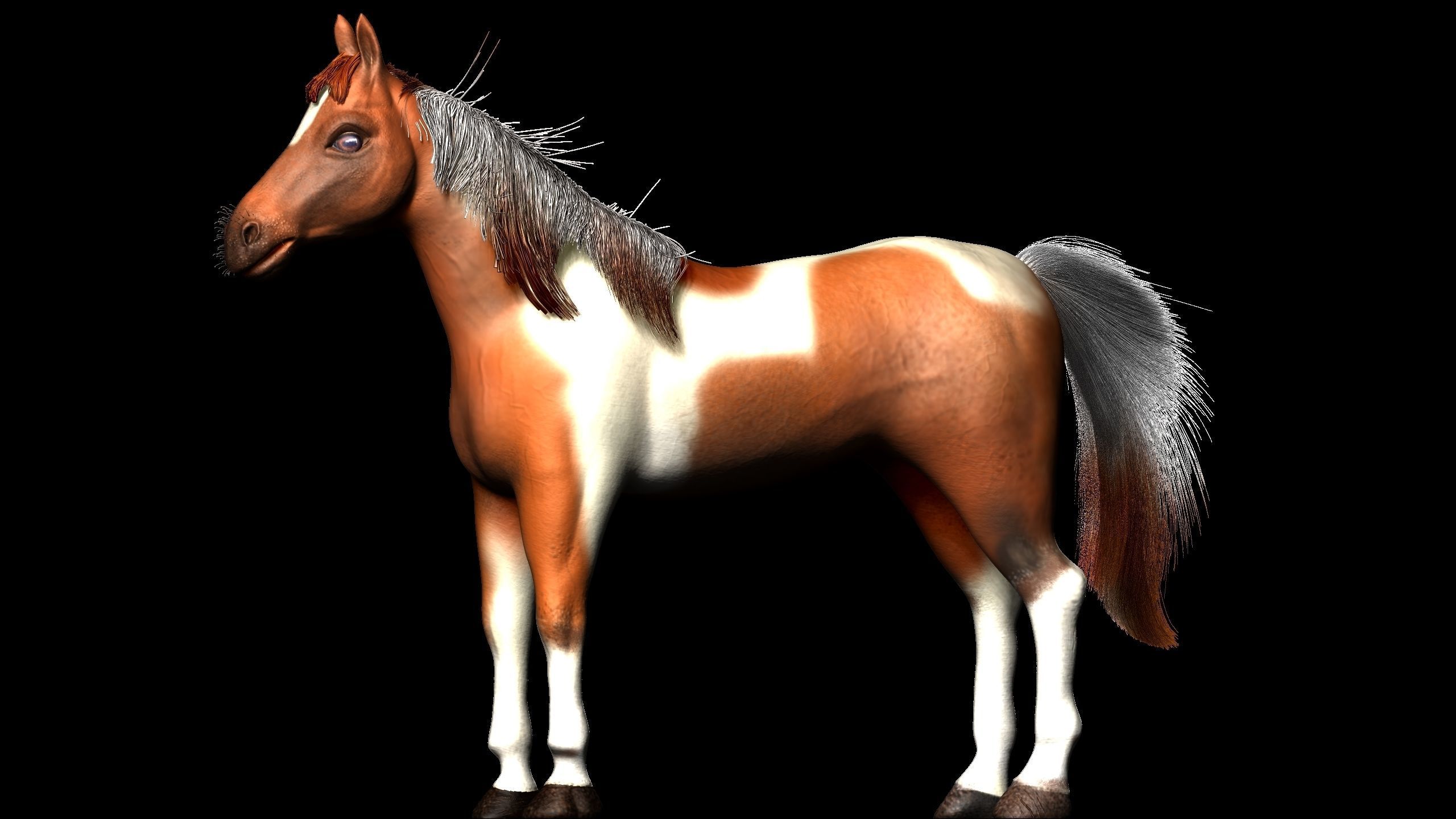 horse Low-poly 3D model_1
