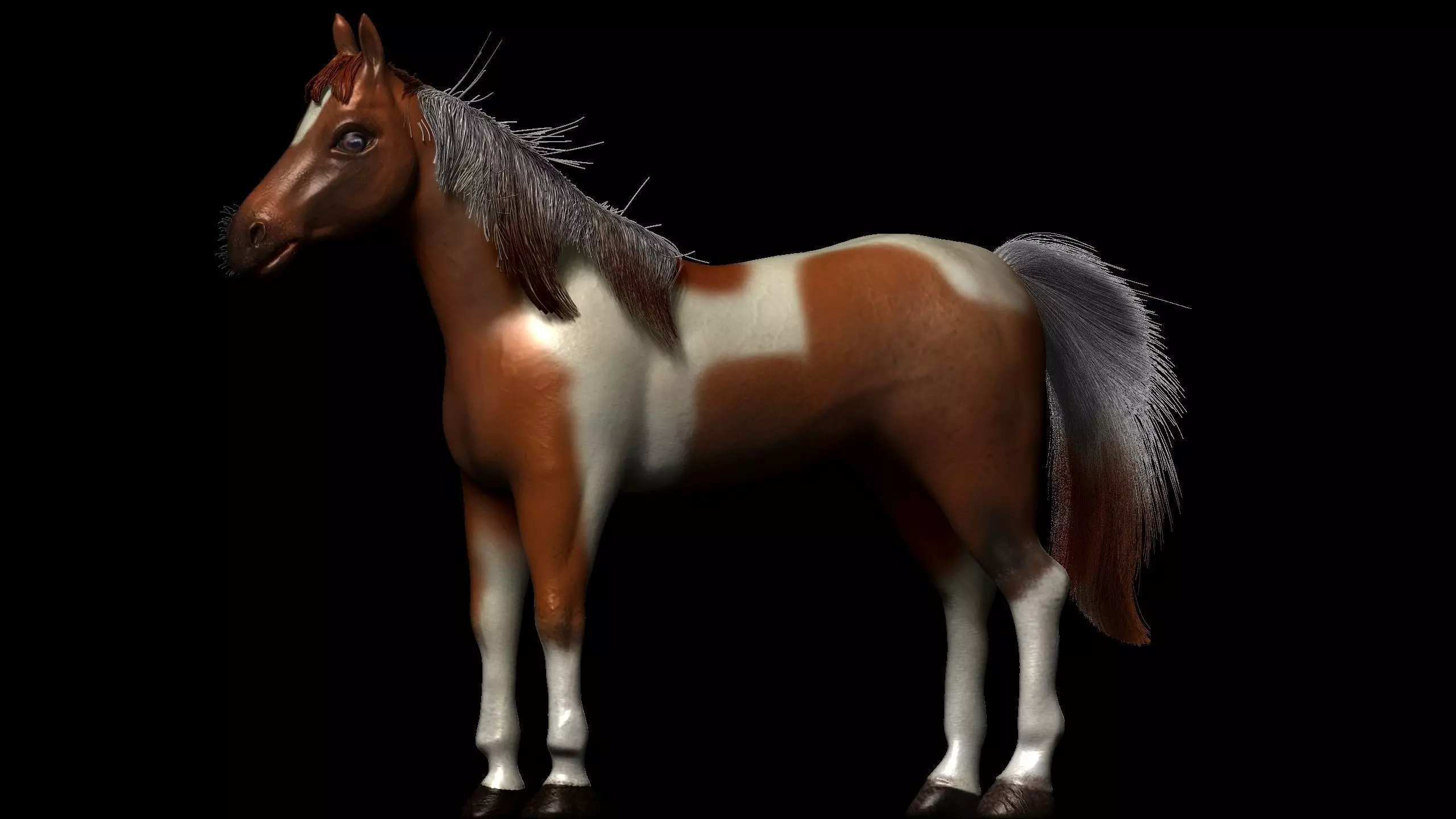 horse Low-poly 3D model_0