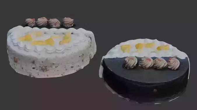 Realistic Chocolate and Vanilla Cake