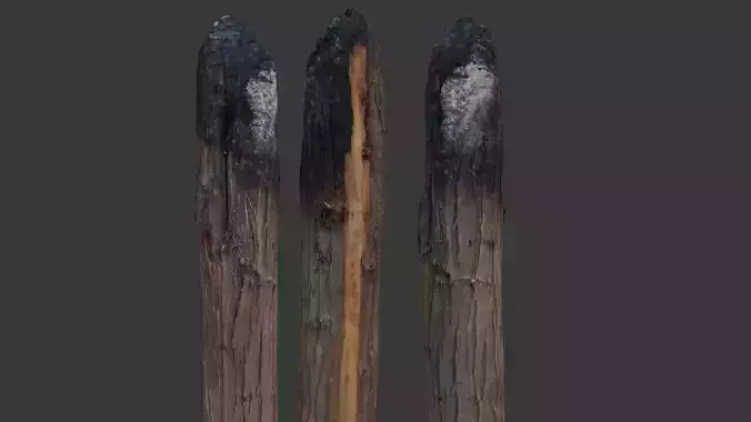Realistic Burnt Wooden Poles 3D