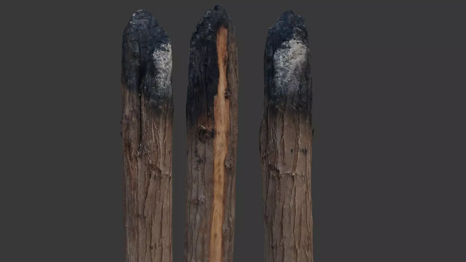 Realistic Burnt Wooden Poles 3D Low-poly 3D model