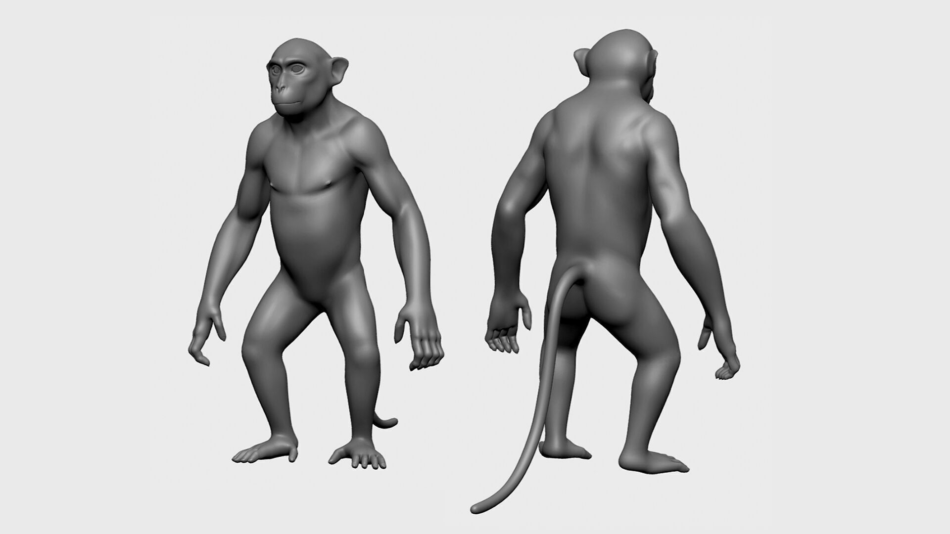 3dPrint I 16 Wild Animal Collection 3D print model_12