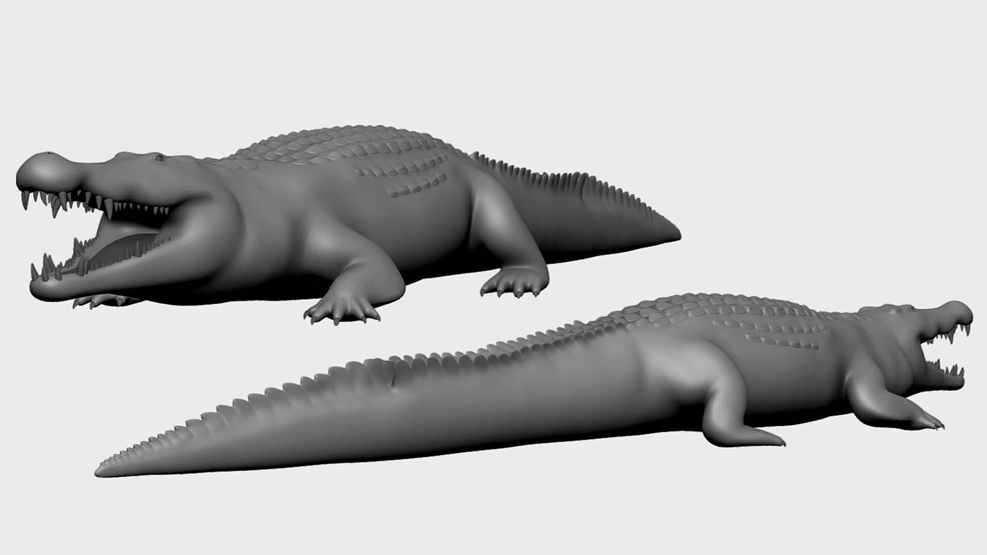 3dPrint I 16 Wild Animal Collection 3D print model_6