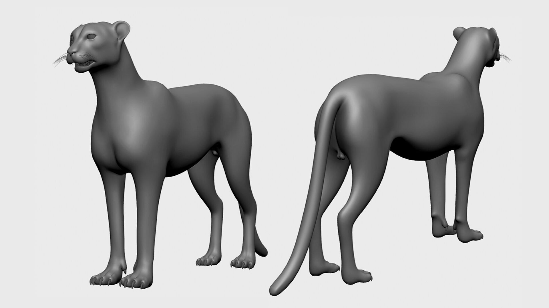 3dPrint I 16 Wild Animal Collection 3D print model_11