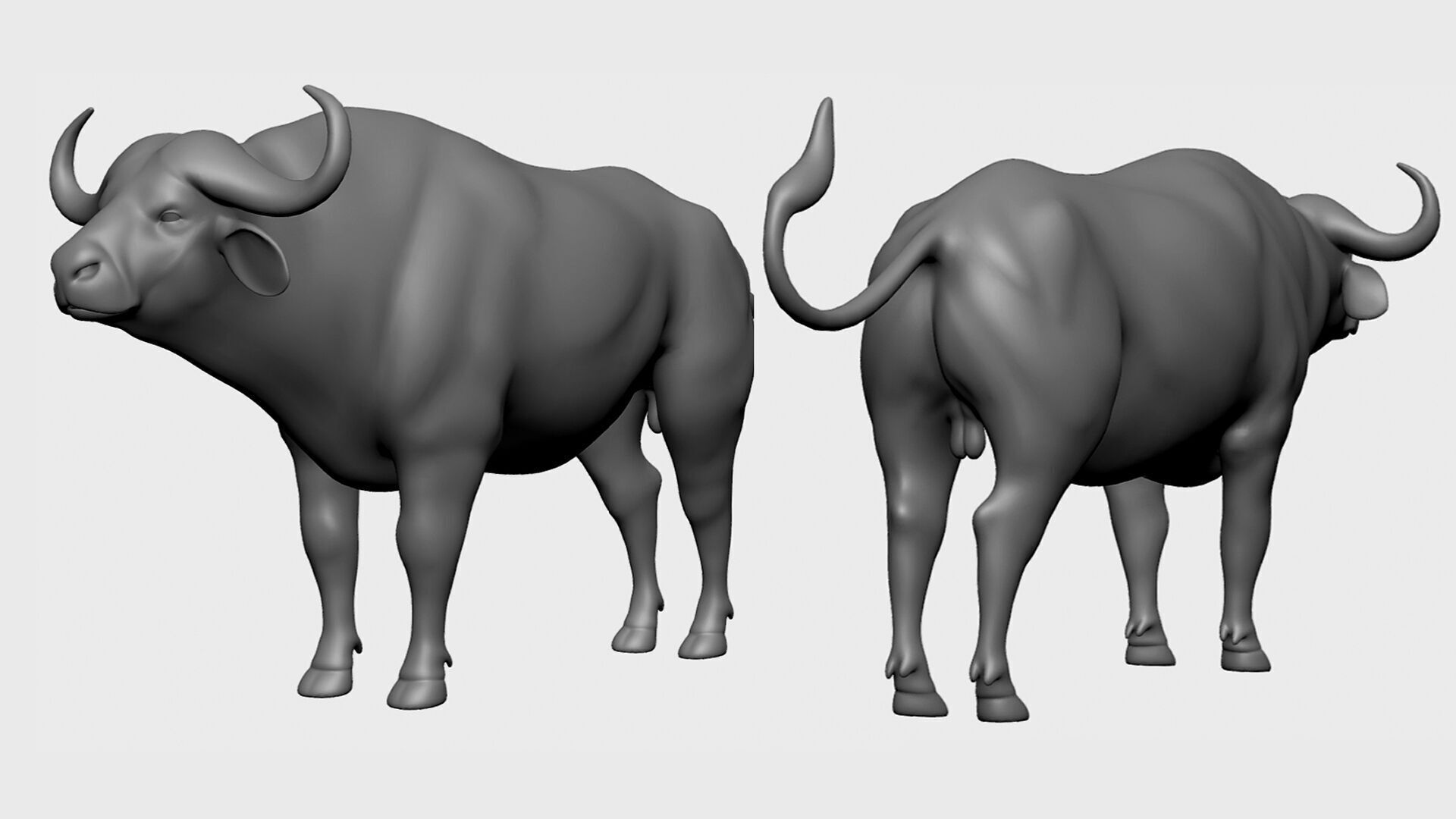 3dPrint I 16 Wild Animal Collection 3D print model_16