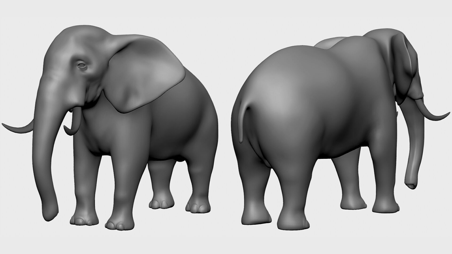 3dPrint I 16 Wild Animal Collection 3D print model_3