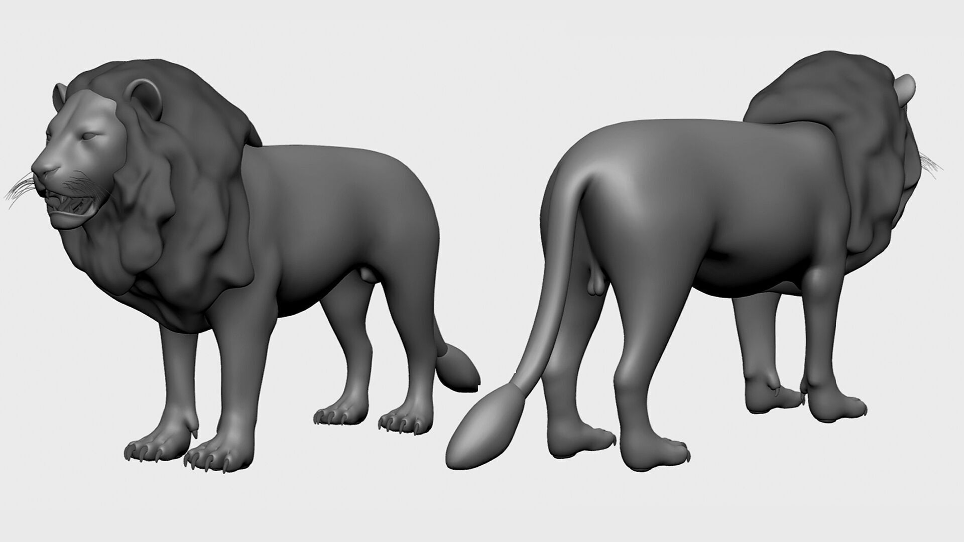 3dPrint I 16 Wild Animal Collection 3D print model_8
