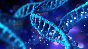 DNA Sci-fi Realistic Animation 3D model_2