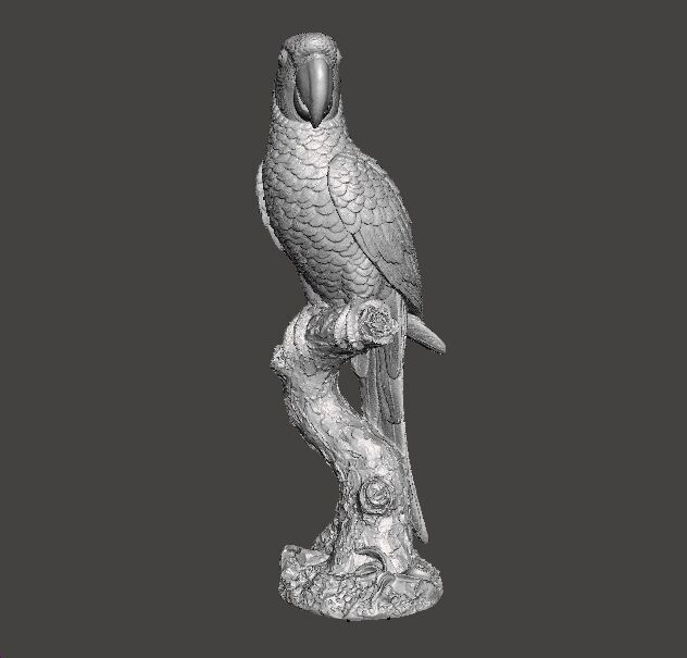 PARROT ON BRANCH REALISTIC SCULPTURE ANIMAL CREATURE WILDLIFE 3D print model_8