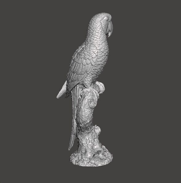 PARROT ON BRANCH REALISTIC SCULPTURE ANIMAL CREATURE WILDLIFE 3D print model_2