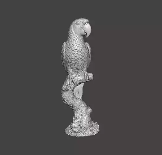 PARROT ON BRANCH REALISTIC SCULPTURE ANIMAL CREATURE WILDLIFE 3D print model