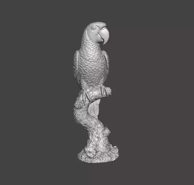 PARROT ON BRANCH REALISTIC SCULPTURE ANIMAL CREATURE WILDLIFE 3D print model_0