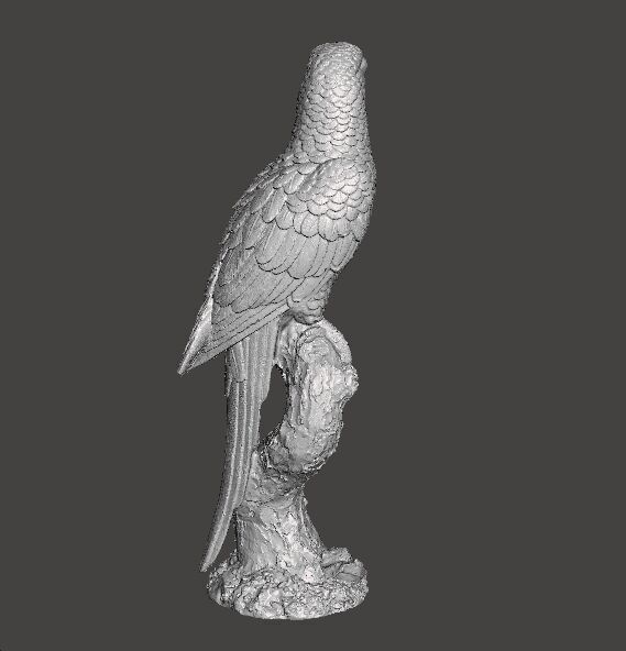 PARROT ON BRANCH REALISTIC SCULPTURE ANIMAL CREATURE WILDLIFE 3D print model_4