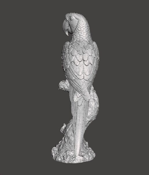 PARROT ON BRANCH REALISTIC SCULPTURE ANIMAL CREATURE WILDLIFE 3D print model_5