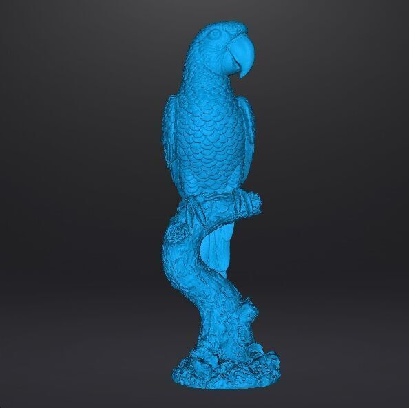PARROT ON BRANCH REALISTIC SCULPTURE ANIMAL CREATURE WILDLIFE 3D print model_9