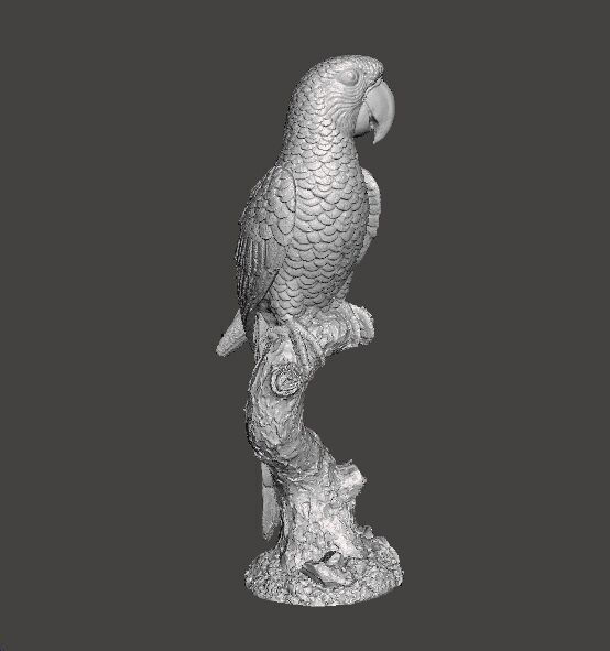 PARROT ON BRANCH REALISTIC SCULPTURE ANIMAL CREATURE WILDLIFE 3D print model_1