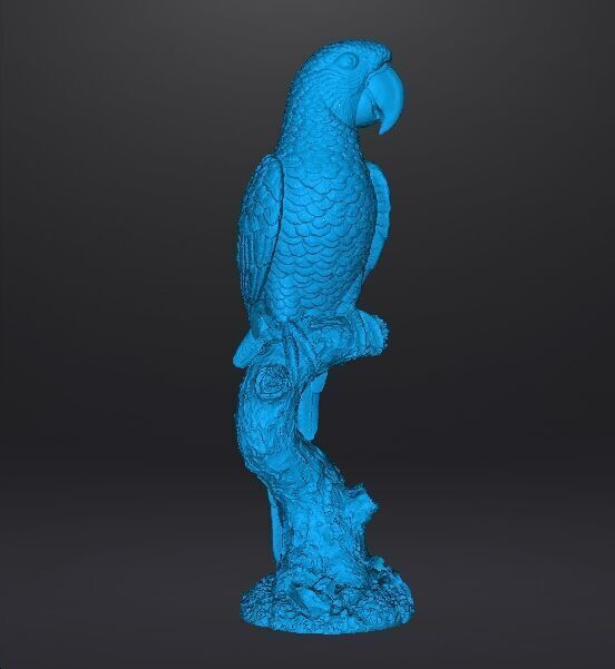 PARROT ON BRANCH REALISTIC SCULPTURE ANIMAL CREATURE WILDLIFE 3D print model_10