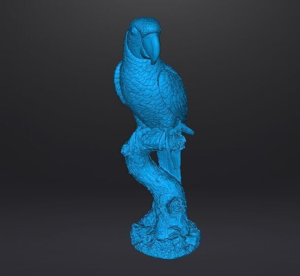 PARROT ON BRANCH REALISTIC SCULPTURE ANIMAL CREATURE WILDLIFE 3D print model_12