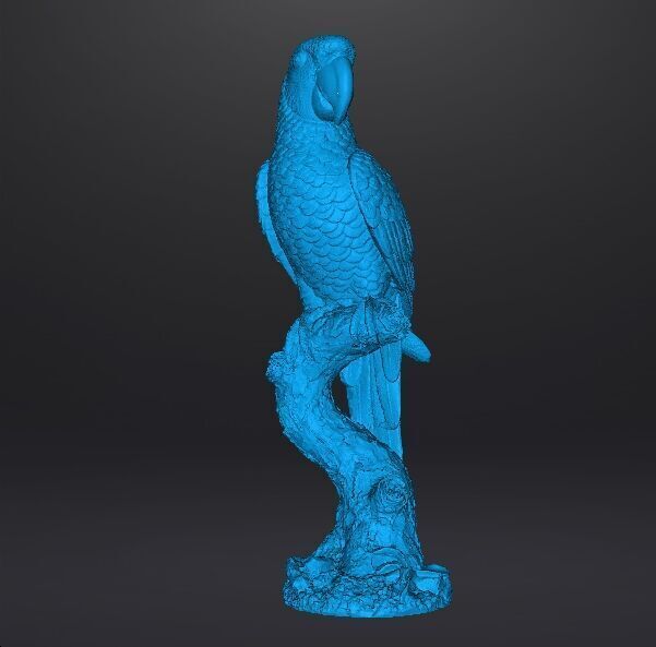 PARROT ON BRANCH REALISTIC SCULPTURE ANIMAL CREATURE WILDLIFE 3D print model_11