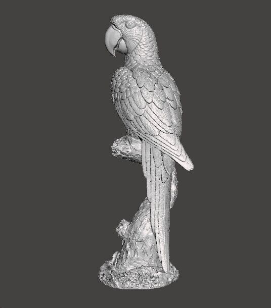 PARROT ON BRANCH REALISTIC SCULPTURE ANIMAL CREATURE WILDLIFE 3D print model_6