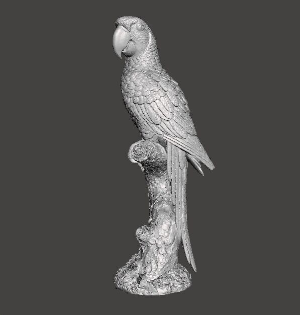 PARROT ON BRANCH REALISTIC SCULPTURE ANIMAL CREATURE WILDLIFE 3D print model_7