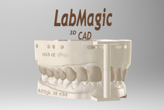 Digital Dental Unsectioned and Sectioned Model 3D print model