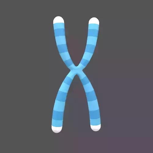 Telomeres v1 002