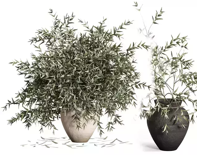 Olive Branches in Textured Ceramic Vase
