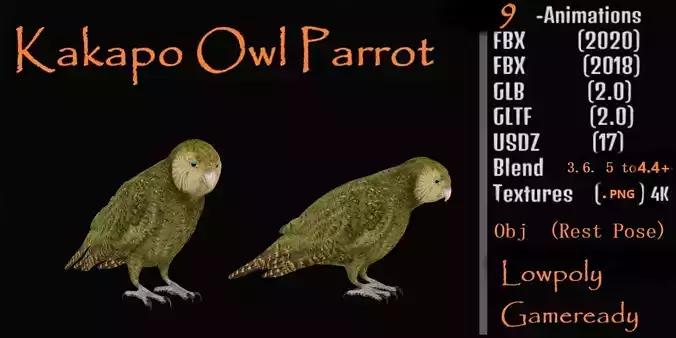 Kakapo Owl Parrot Bird