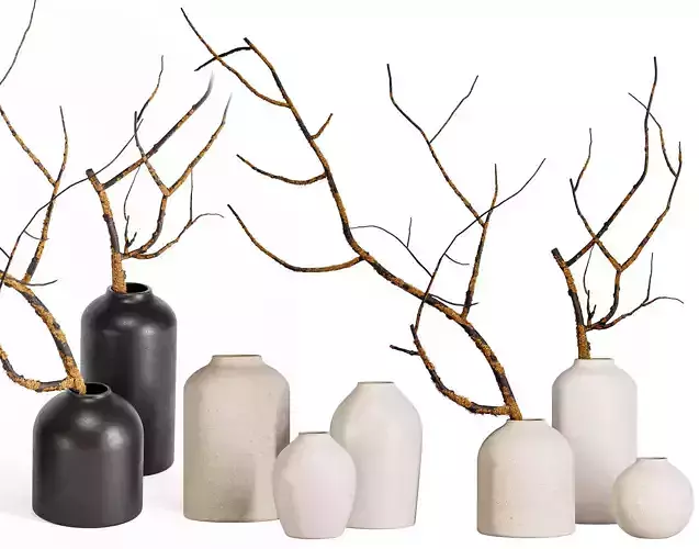 Minimalist Ceramic Vases with Rustic Mossy Branches