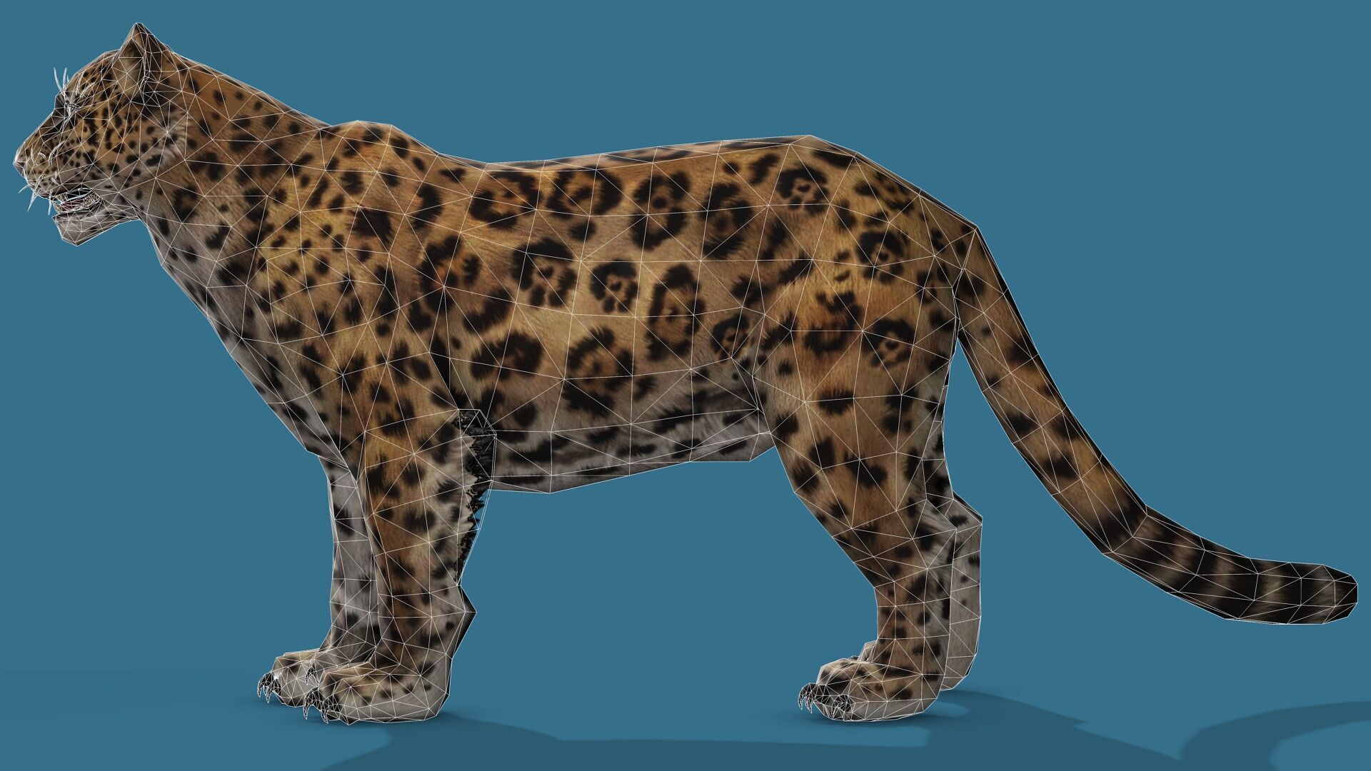 JAGUAR RIGGED ANIMATED 13 Low-poly 3D model_11