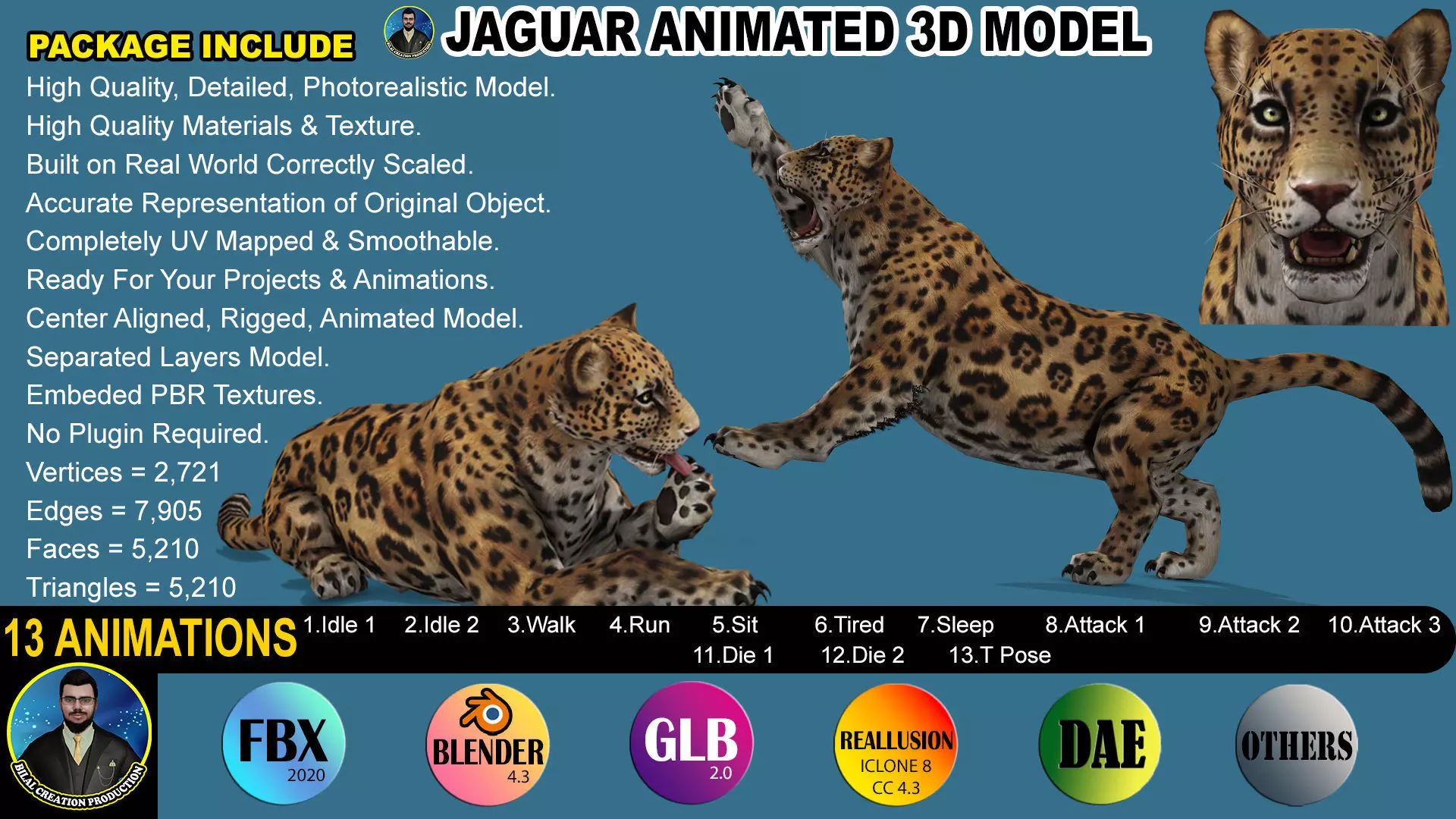 JAGUAR RIGGED ANIMATED 13 Low-poly 3D model_0