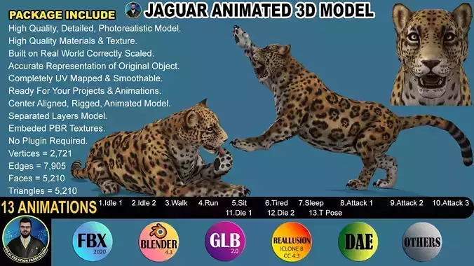 JAGUAR RIGGED ANIMATED 13 Low-poly 3D model