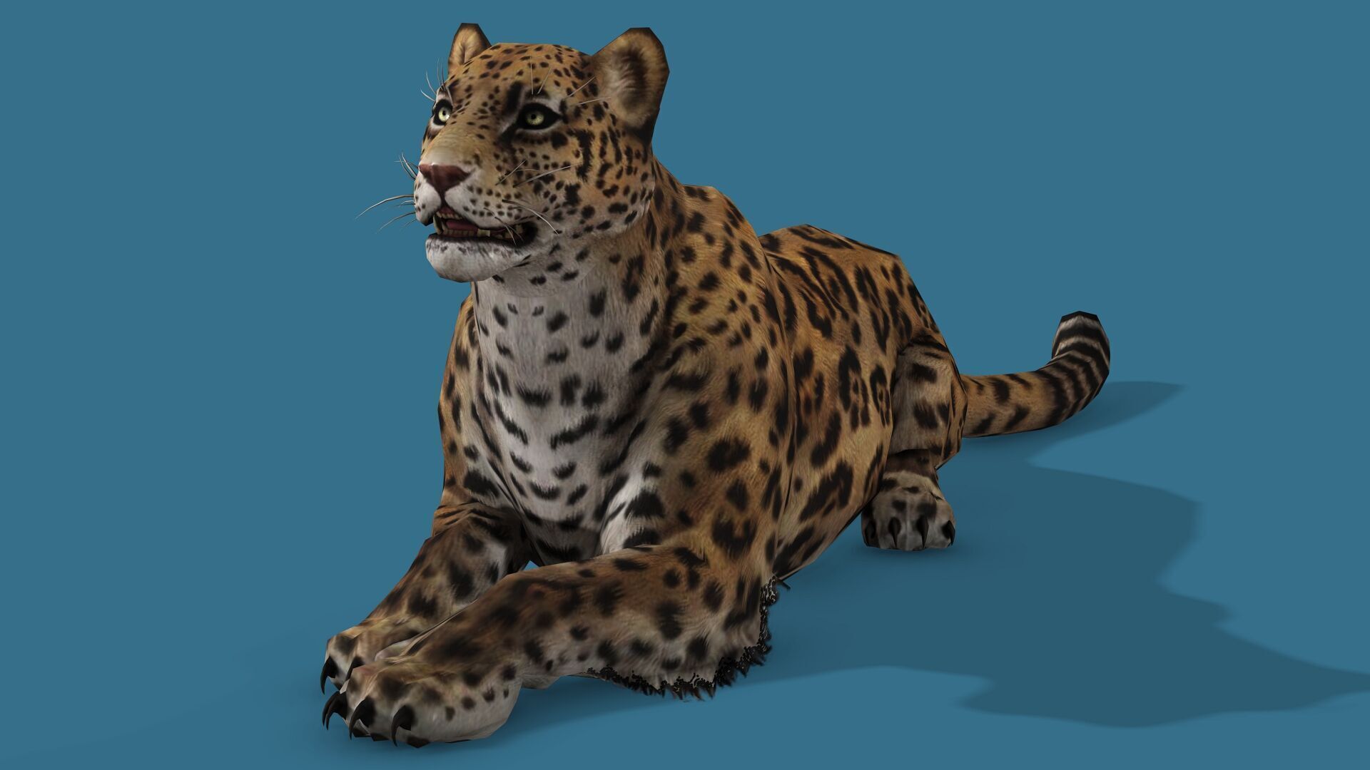 JAGUAR RIGGED ANIMATED 13 Low-poly 3D model_6