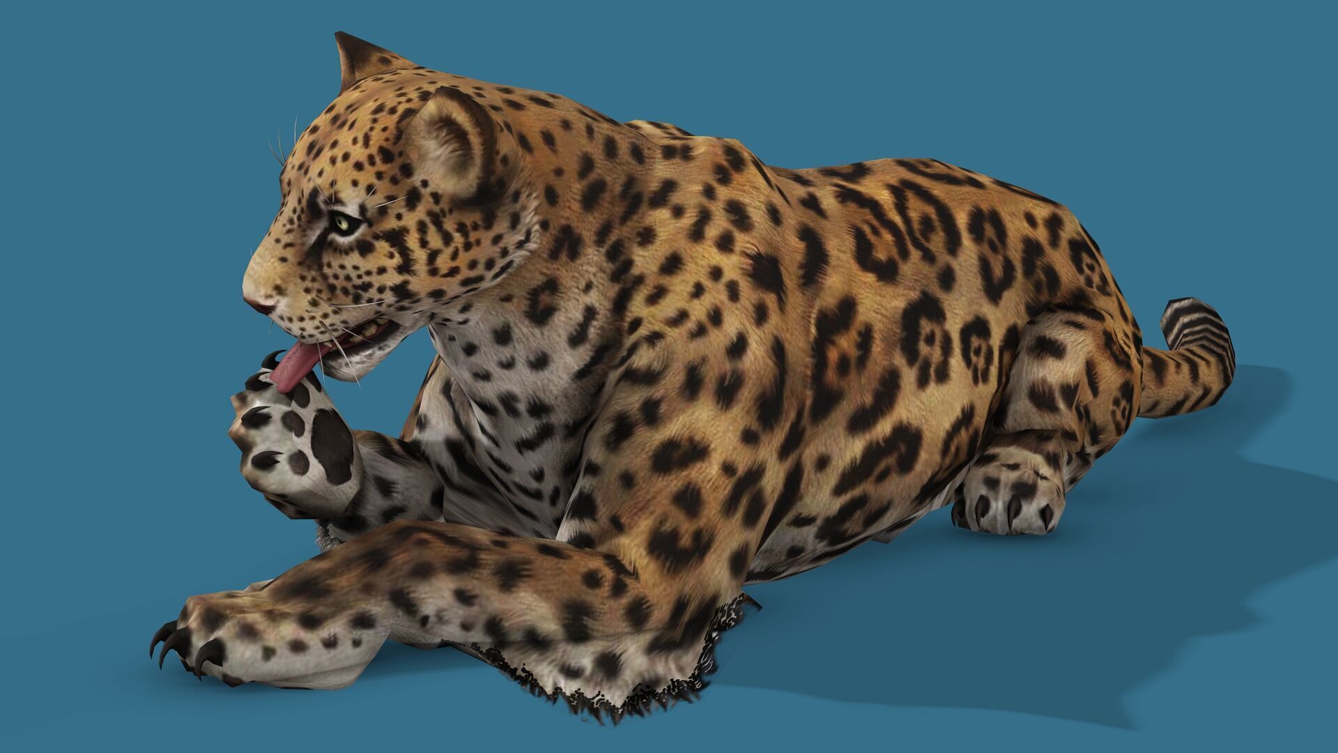 JAGUAR RIGGED ANIMATED 13 Low-poly 3D model_7