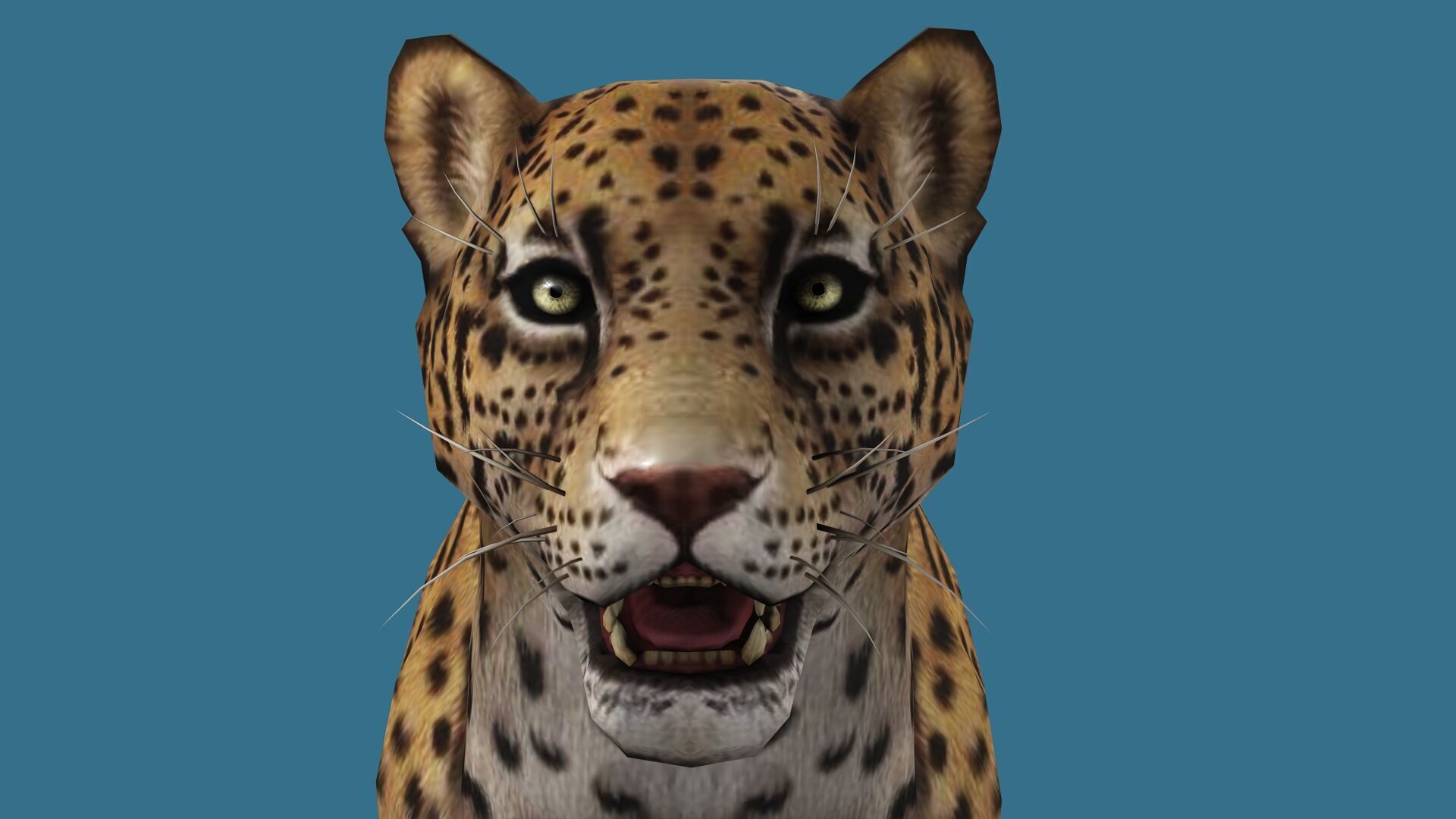 JAGUAR RIGGED ANIMATED 13 Low-poly 3D model_3