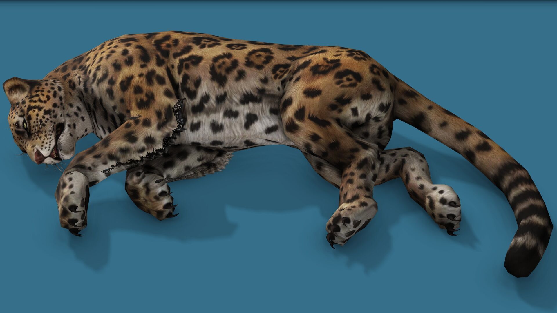 JAGUAR RIGGED ANIMATED 13 Low-poly 3D model_8