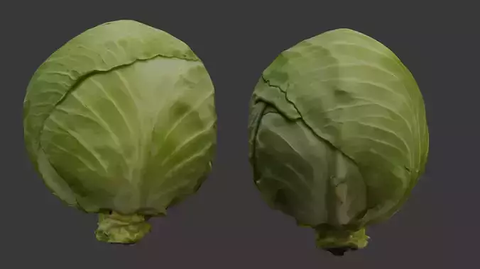 Realistic Cabbage Vegetable 3D Scan
