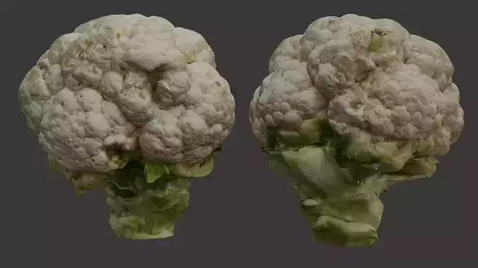 Realistic Cauliflower 3D Scan