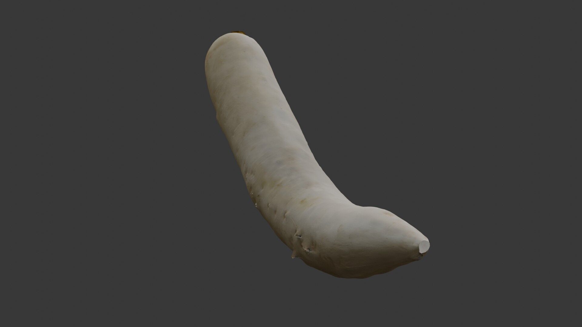 Realistic Daikon Radish 3D Scan Low-poly 3D model_4