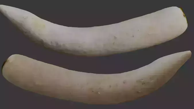 Realistic Daikon Radish 3D Scan