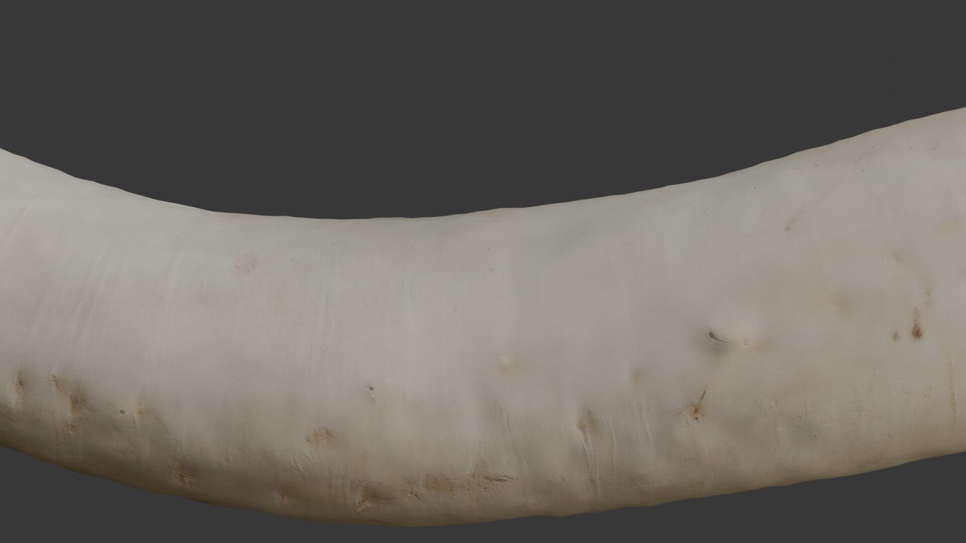 Realistic Daikon Radish 3D Scan Low-poly 3D model_2