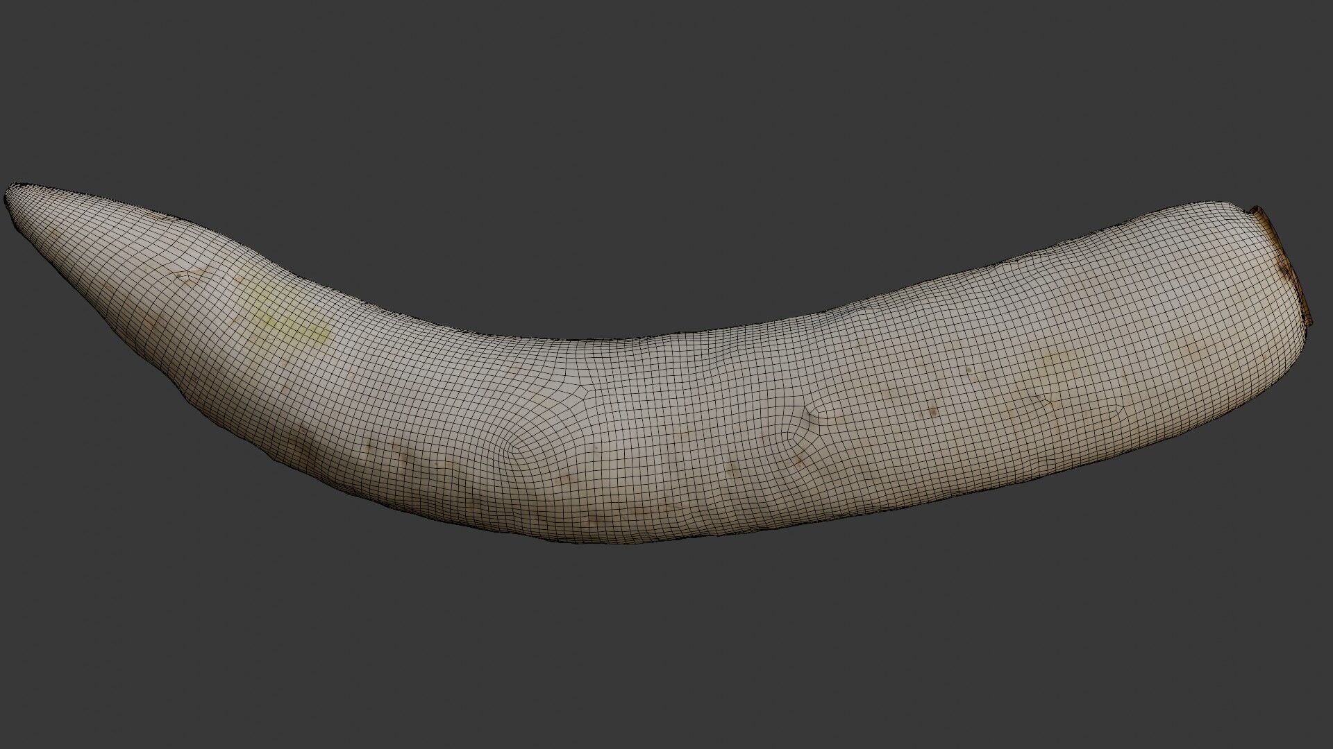 Realistic Daikon Radish 3D Scan Low-poly 3D model_1