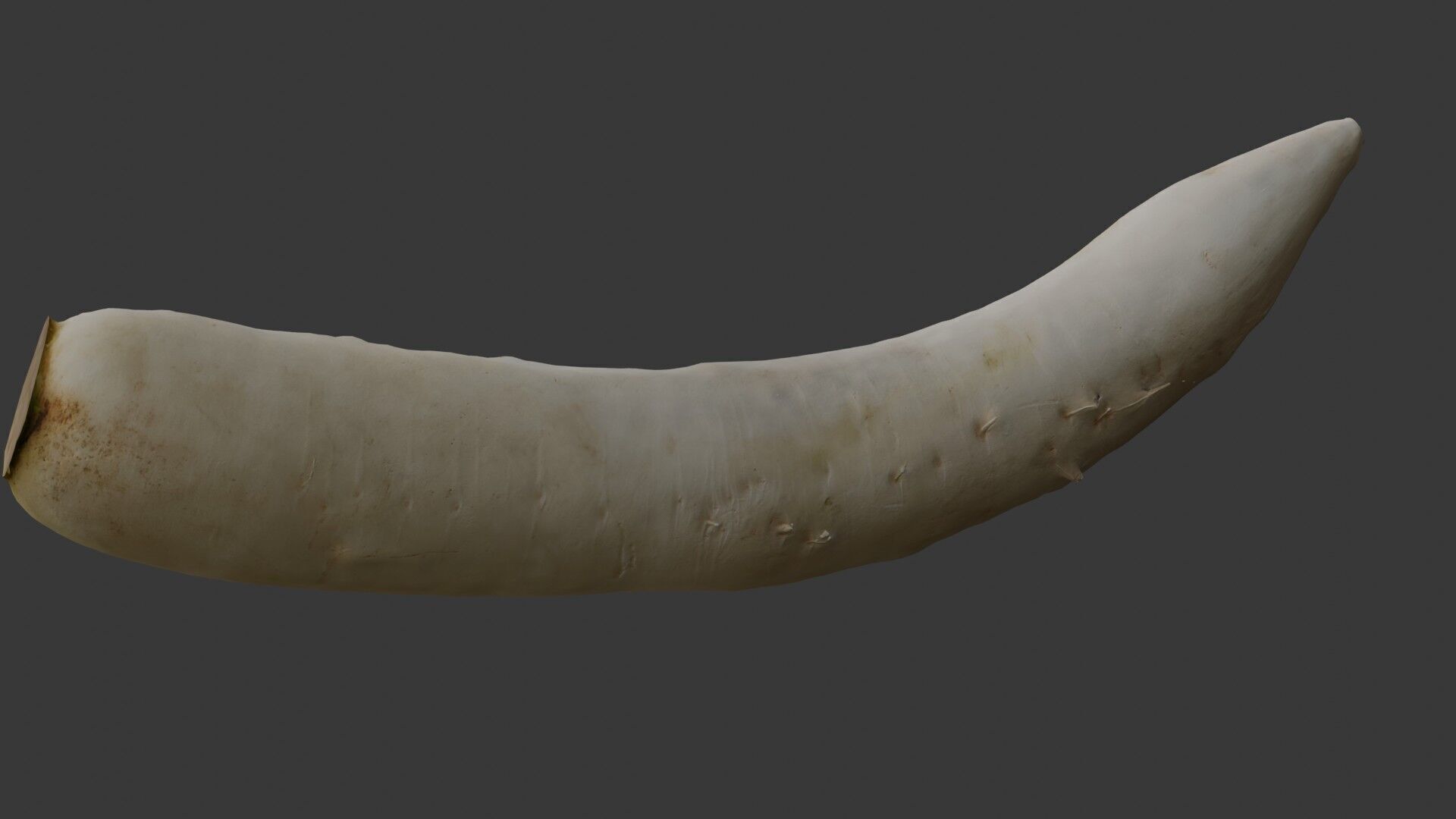 Realistic Daikon Radish 3D Scan Low-poly 3D model_6