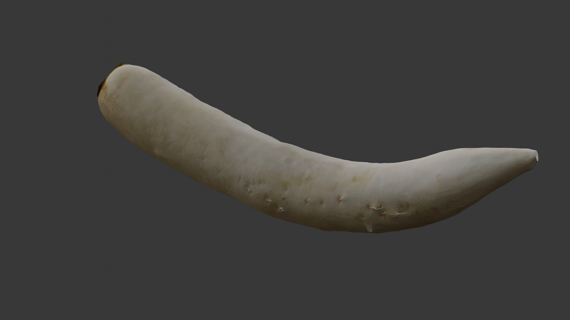Realistic Daikon Radish 3D Scan Low-poly 3D model_5