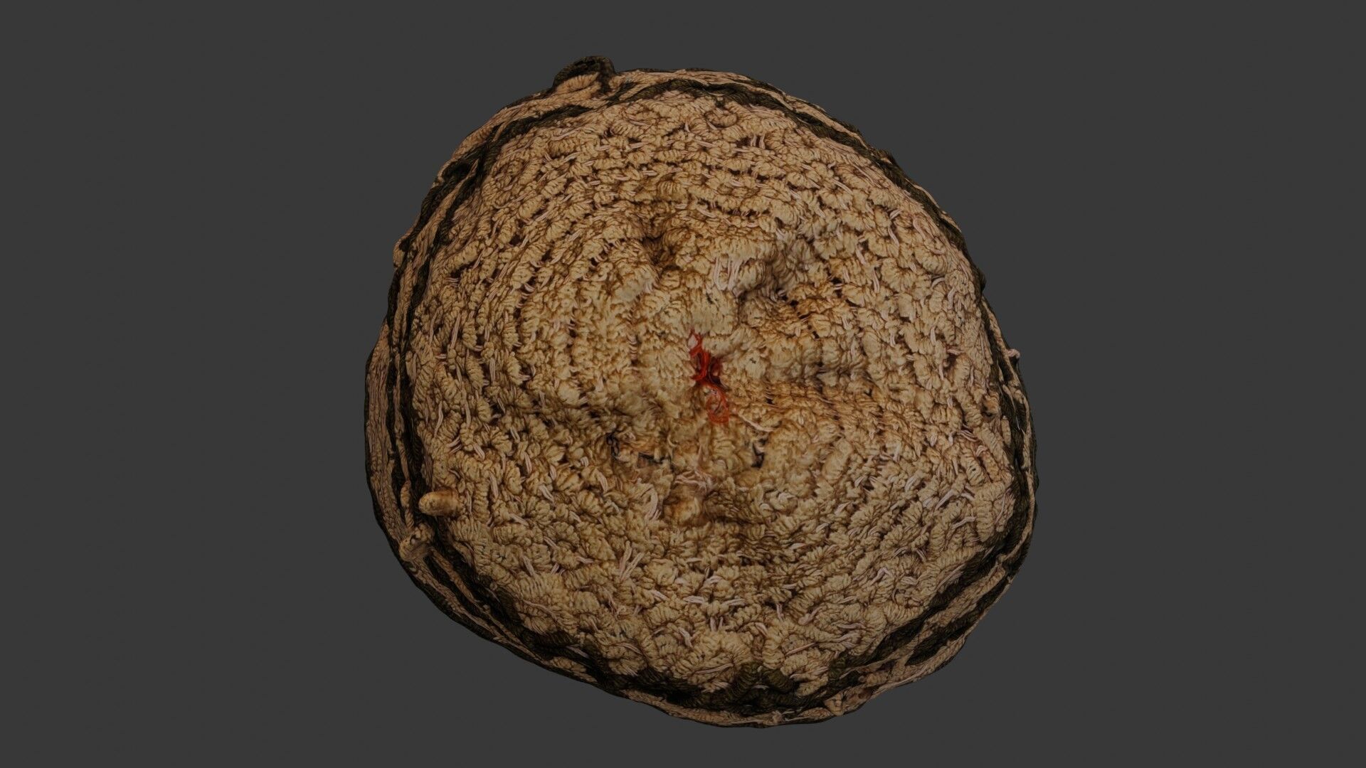 Handwoven Knit Cap 3D Scan Low-poly 3D model_7