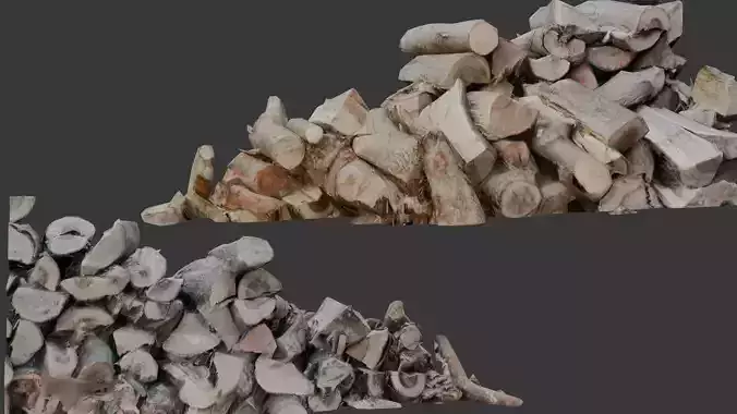 Chopped Firewood Stack 3D Scan